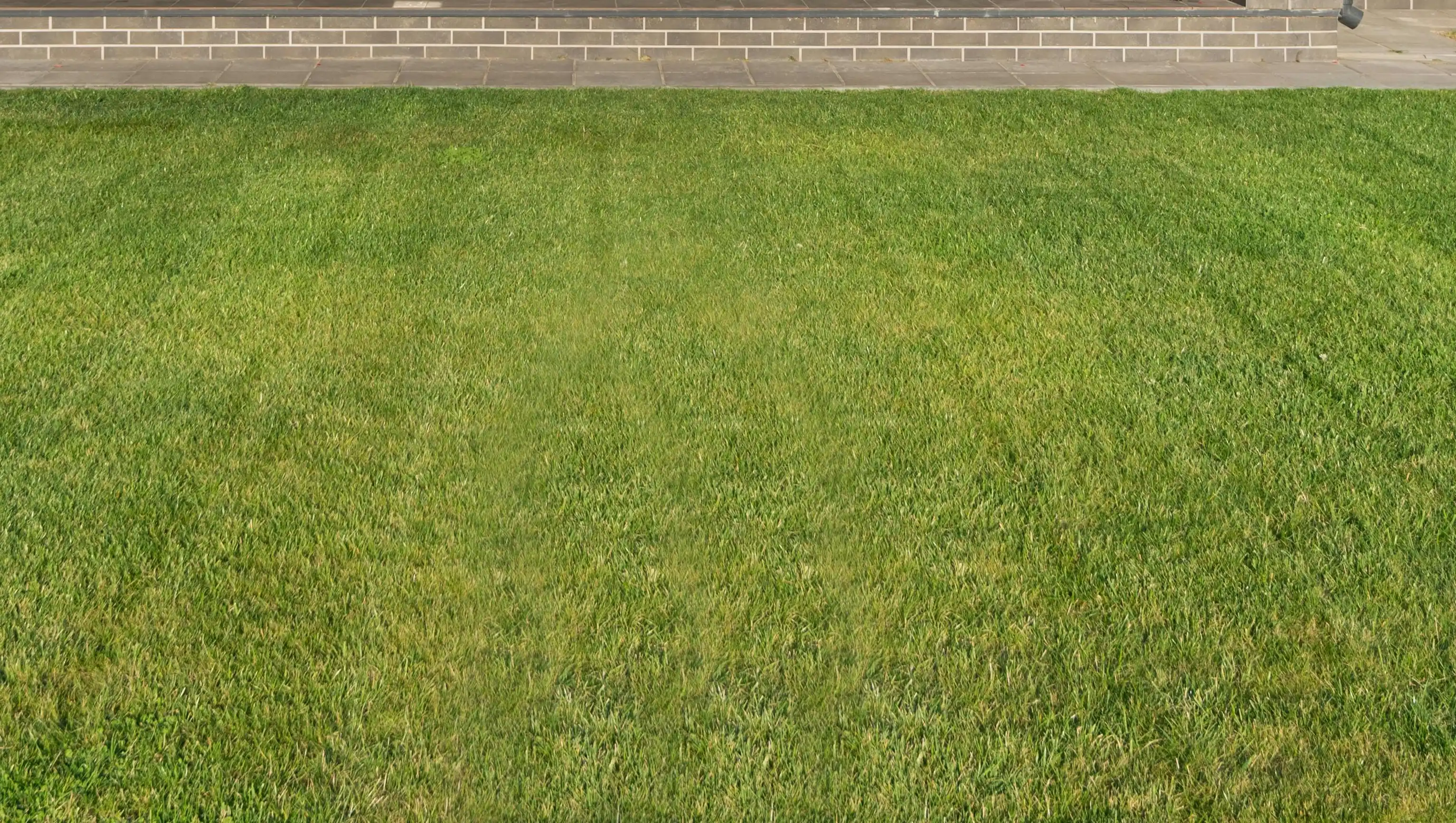Our Work - Image 6